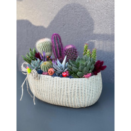 ÖZEL CANLI TERARYUM